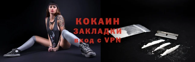 спайс Богданович