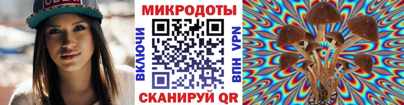 Галлюциногенные грибы мицелий  Сыктывкар 